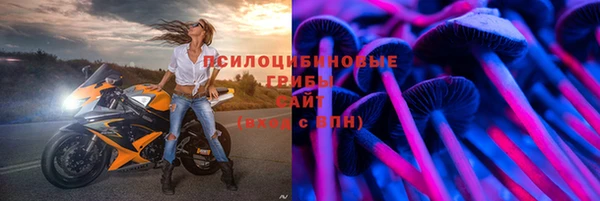 амф Абаза