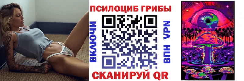 Псилоцибиновые грибы Psilocybe  мега зеркало  Горячеводский  магазин  наркотиков 